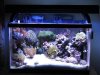 FTS (Medium).jpg