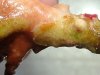 2003_0119ACROFLATWORMS0023 (Custom).JPG