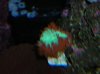 unknown2.jpg
