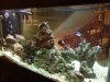 75 gallon tank 2.jpg