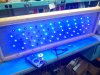 2012-02-02 06.01.55.jpg