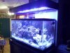 2012-02-04 21.14.57.jpg