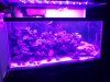 2012-02-04 21.16.02.jpg