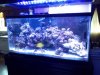 2012-02-05 07.29.35.jpg