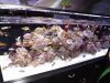 DSCF1113.JPG