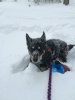 brady stuck in snow.jpg