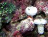 DSC06634.JPG