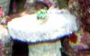 DSC06638.JPG