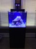 Tank All Full Front.jpg