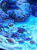 IMG_7841.JPG