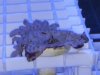 IMG_20180207_101914.jpg