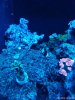 IMG_20180210_005945.jpg