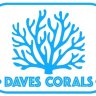 Daves Corals
