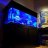 Blue Light Aquatics