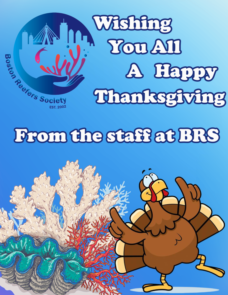 Wishing You All (1).png